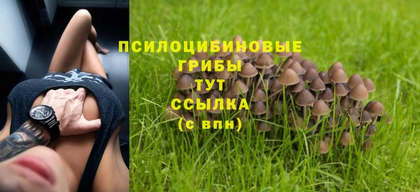 ECSTASY Бугульма
