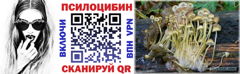 хочу наркоту  Вилюйск  Галлюциногенные грибы MAGIC MUSHROOMS 